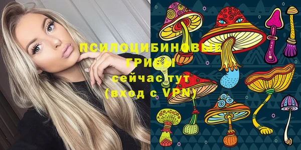 кокс Козельск