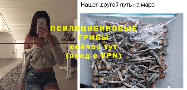 apvp Кодинск