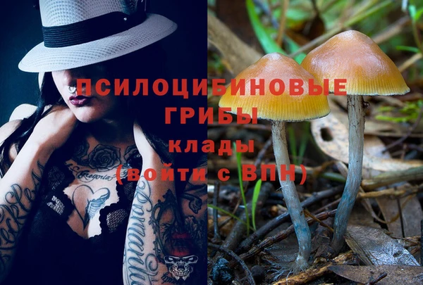 кокс Козельск