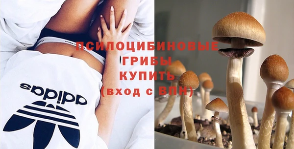 apvp Кодинск