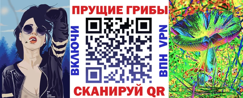 Купить  Болотное  Псилоцибиновые грибы Psilocybe 